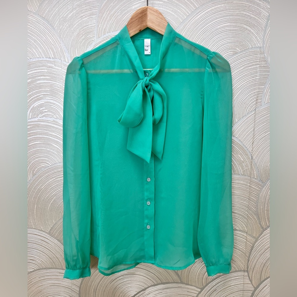 American Apparel Sheer Blouse